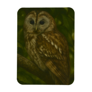 Magnet Flexible Forest Sentinel - Tawny Owl Wildlife Art