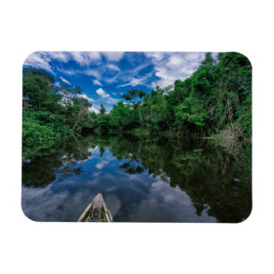 Magnet Flexible Forests Peruvian Jungle Forest