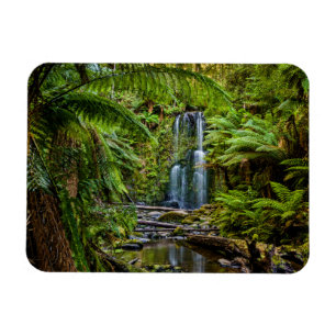 Magnet Flexible Forêt   Beauchamp Falls Australie