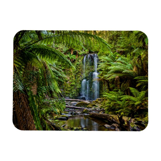 Magnet Flexible Forêt | Beauchamp Falls Australie (Horizontal)