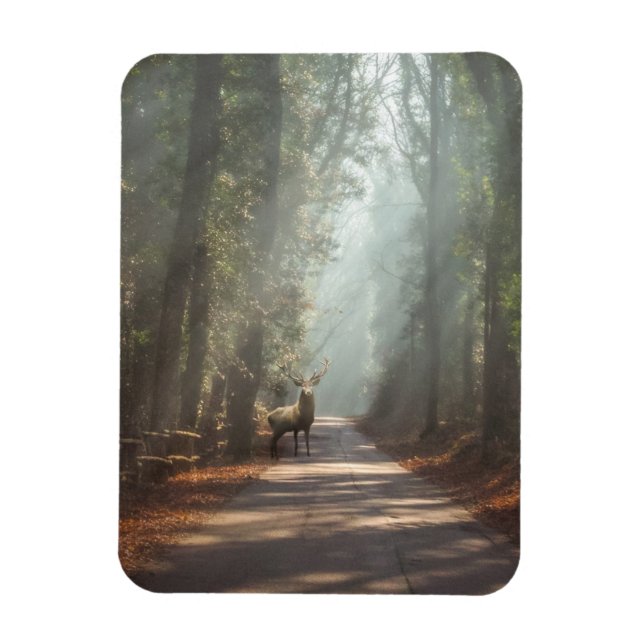 Magnet Flexible Forêt | Bois (Vertical)