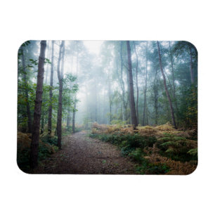 Magnet Flexible Forêt Dark Foggy Woods Norfolk UK