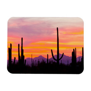 Magnet Flexible Forêt de cactus saguaro au coucher du soleil