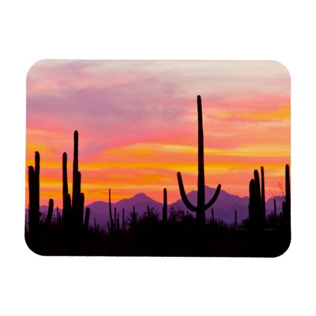 Magnet Flexible Forêt de cactus saguaro au coucher du soleil (Horizontal)