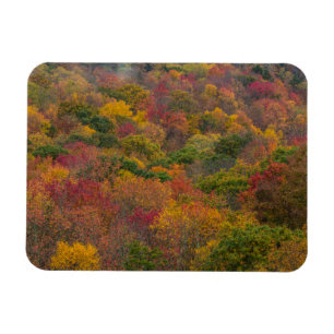 Magnet Flexible Forêt de feuillus dans le comté de Randolph, Virgi