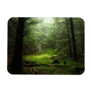 Magnet Flexible Forêt de Sterious