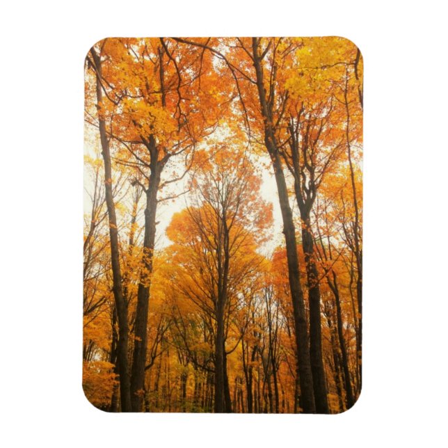 Magnet Flexible Forêt d'Orange (Vertical)