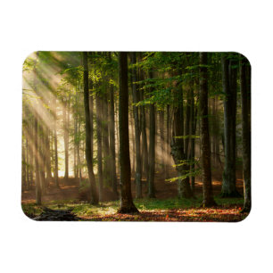 Magnet Flexible Forêt Forêt d'automne