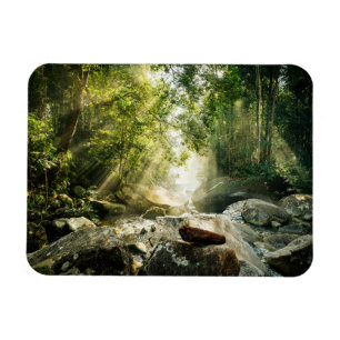 Magnet Flexible Forêt   Forêt tropicale de la Jungle