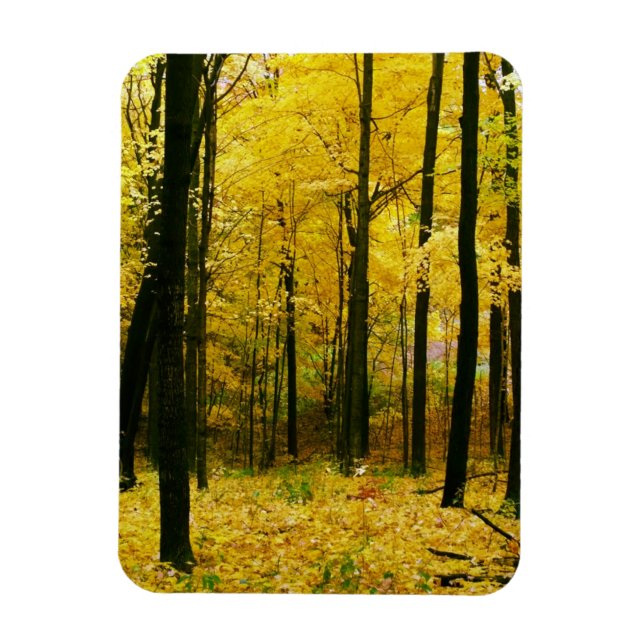 Magnet Flexible Forêt jaune d'automne (Vertical)