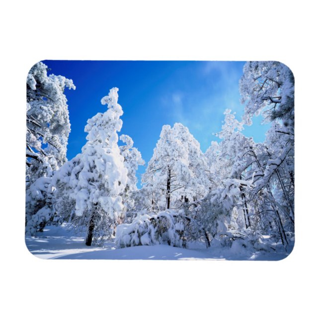 Magnet Flexible Forêt nationale de Cleveland (Horizontal)