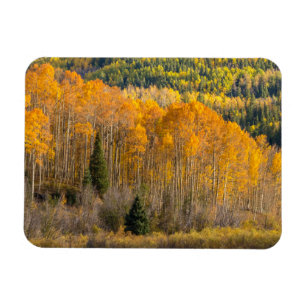 Magnet Flexible Forêt nationale de Gunnison