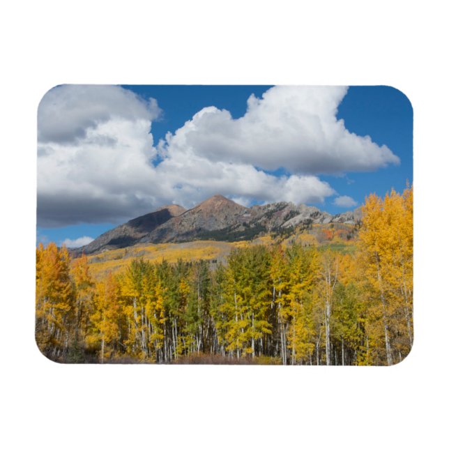 Magnet Flexible Forêt nationale de Gunnison, Colorado (Horizontal)
