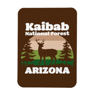 Magnet Flexible Forêt nationale de Kaibab Arizona