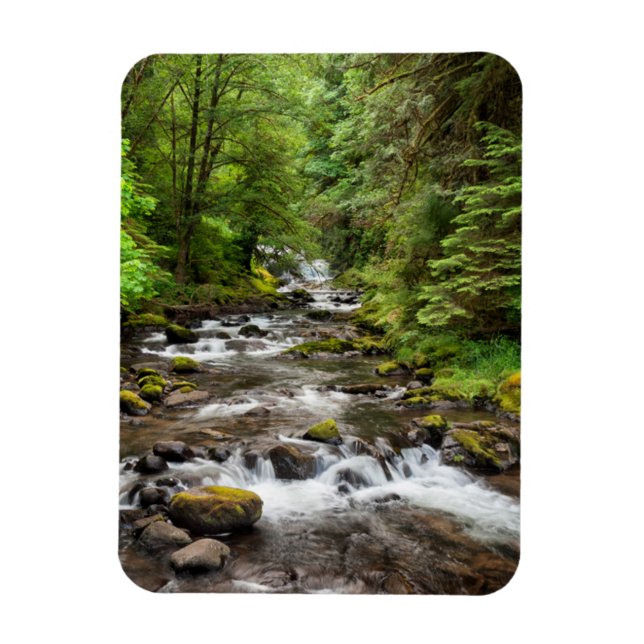 Magnet Flexible Forêt nationale de Siuslaw | Sweet Creek (Vertical)