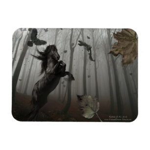 Magnet Flexible Forêt Noire