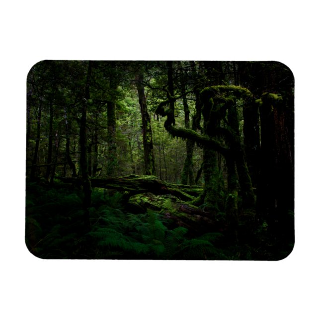 Magnet Flexible Forêt | Routeburn Track Fiordland National Park (Horizontal)