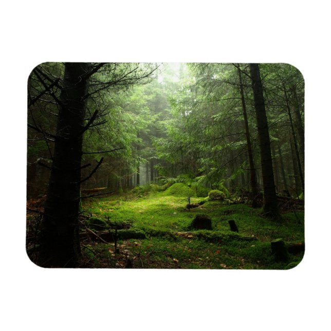 Magnet Flexible Forêt stérile (Horizontal)