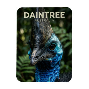 Magnet Flexible Forêt tropicale de Daintree en Australie