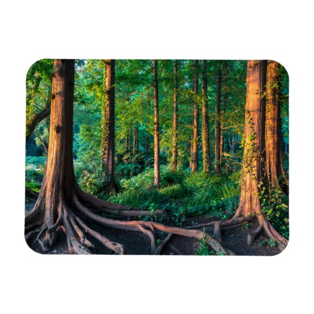 Magnet Flexible Forêt | Végétation et forêt (Horizontal)