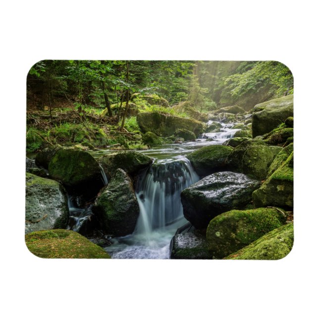 Magnet Flexible Forêt verte et rivière (Horizontal)