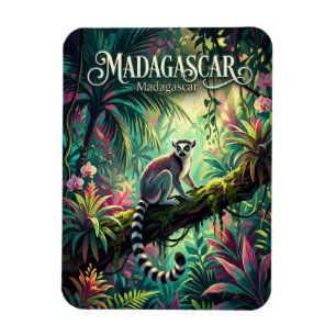 Magnet Flexible Forêts tropicales de Madagascar Madagascar