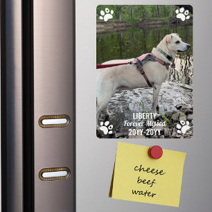 Magnet Flexible Forever Missing Pet Memorial Photo moderne personn