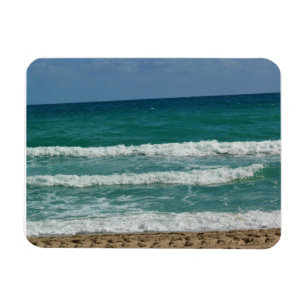 Magnet Flexible Fort Lauderdale, Floride