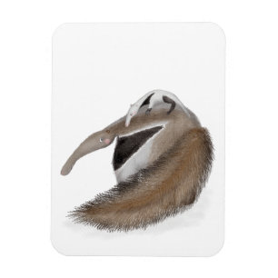 Magnet Flexible Fourmilier mignon et aimant bébé