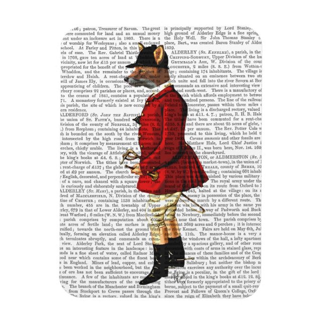 Magnet Flexible Fox Hunter 1 2 (Vertical)