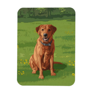 Magnet Flexible Fox Red Yellow Labrador Retriever Chien