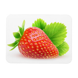 Magnet Flexible Fraise