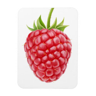 Magnet Flexible Framboise