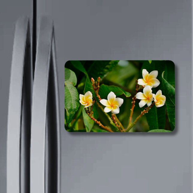 Magnet Flexible Frangipani jaune (Créateur téléchargé)