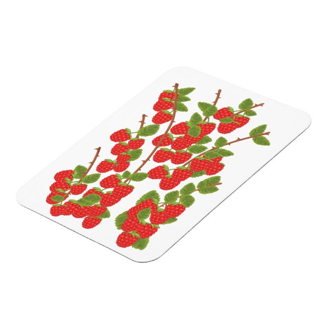 Magnet Flexible Fruit de framboise (Côté Gauche)