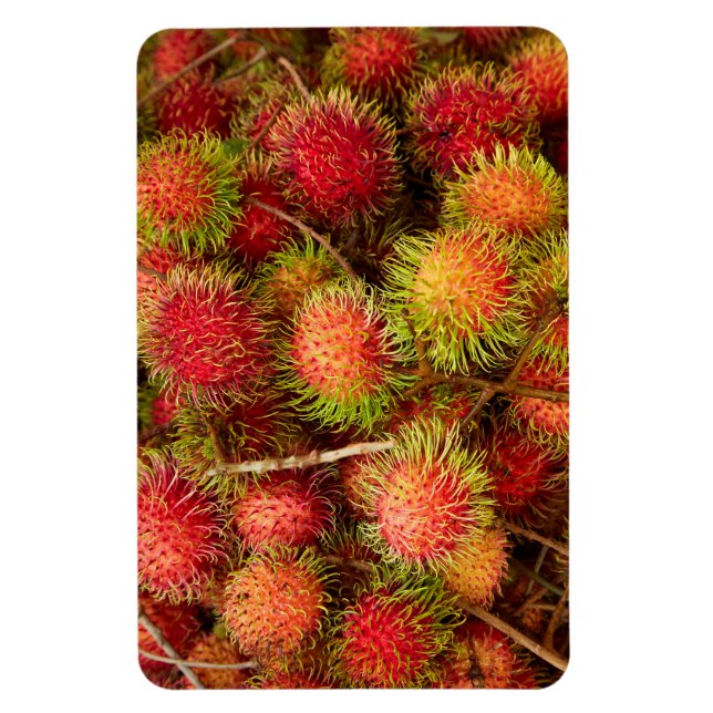 Magnet Flexible Fruit Rambutan au marché Can Duoc (Vertical)
