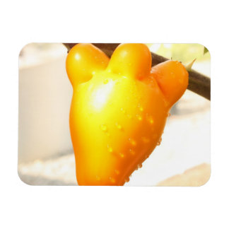 Magnet Flexible Fruit Visage Renard