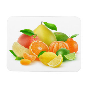 Magnet Flexible Fruits d'agrumes