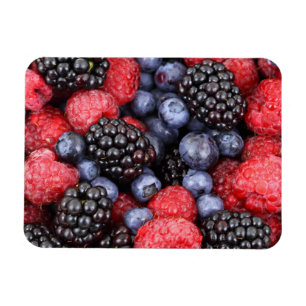 Magnet Flexible Fruits de Berry Juicy et Ripe Medley