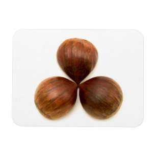 Magnet Flexible Fruits de châtaignes sucrés