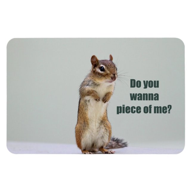 Magnet Flexible Funny Chipmunk Photo (Horizontal)