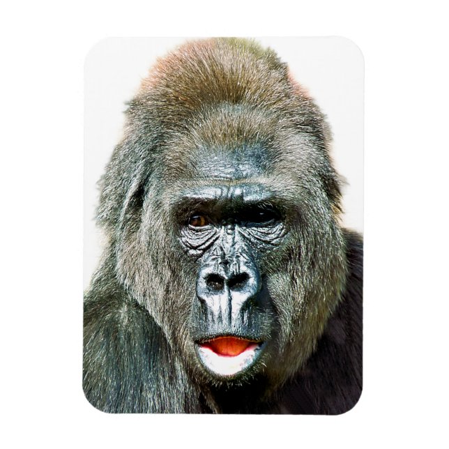 MAGNET FLEXIBLE FUNNY CUTE GORILLA (Vertical)