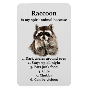 Magnet Flexible Funny Raccoon Spirit Animal Humour mignon Aquarell