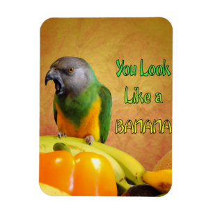 Magnet Flexible Funny Sénégal Parrot Banana