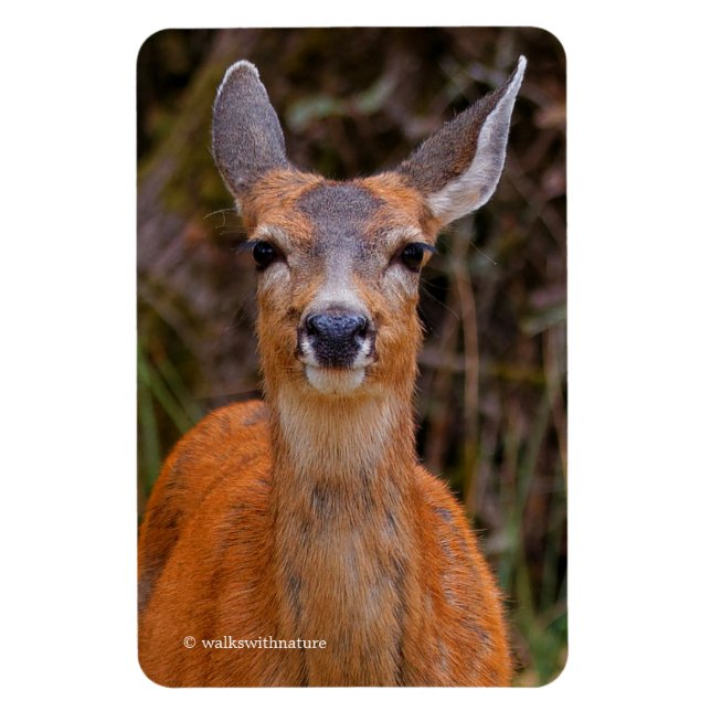 Magnet Flexible Funny Young Blacktail Deer sourit à un photographe (Vertical)