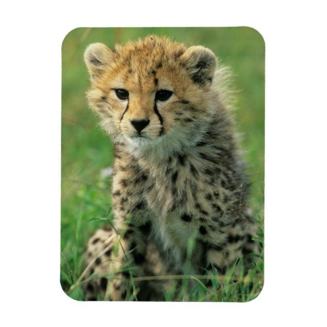 Magnet Flexible Fuzzy Cheetah Cub (Vertical)