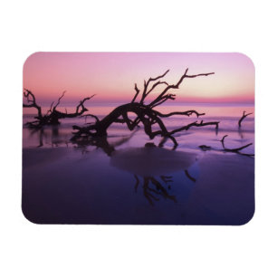 Magnet Flexible GA Jekyll Island, un cimetière arboré sur la pla
