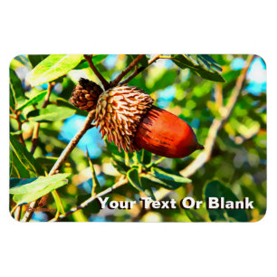 Magnet Flexible Galilee Acorn
