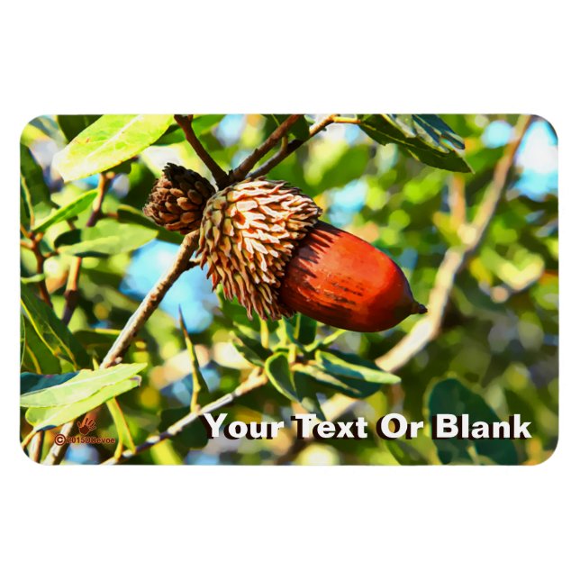 Magnet Flexible Galilee Acorn (Horizontal)