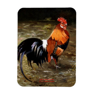 Magnet Flexible Gallo/Galo/Rooster